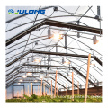 Hot Sale Light Deprivation Gewächshaus Single Span Three Greenhouse zum Verkauf